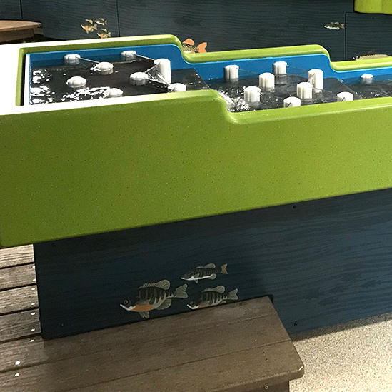 close up of a section of the water table